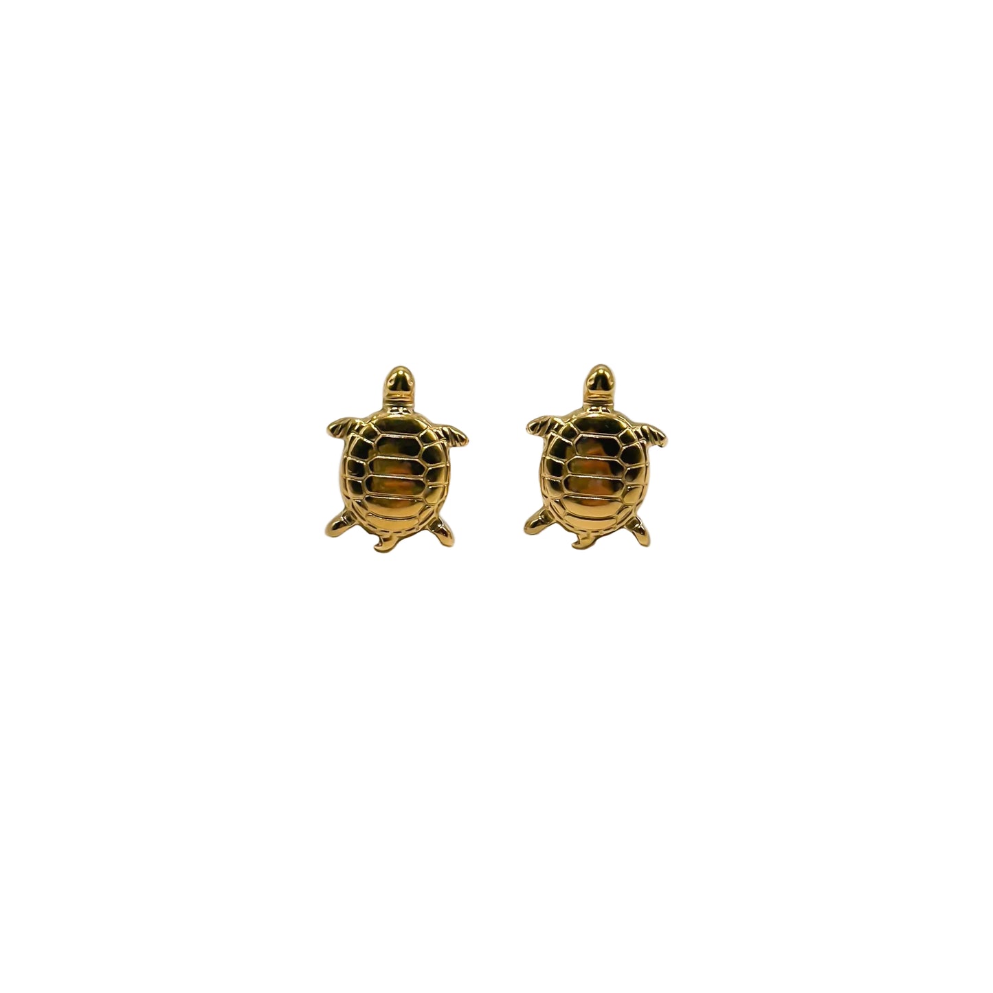 Boucles TORTUE