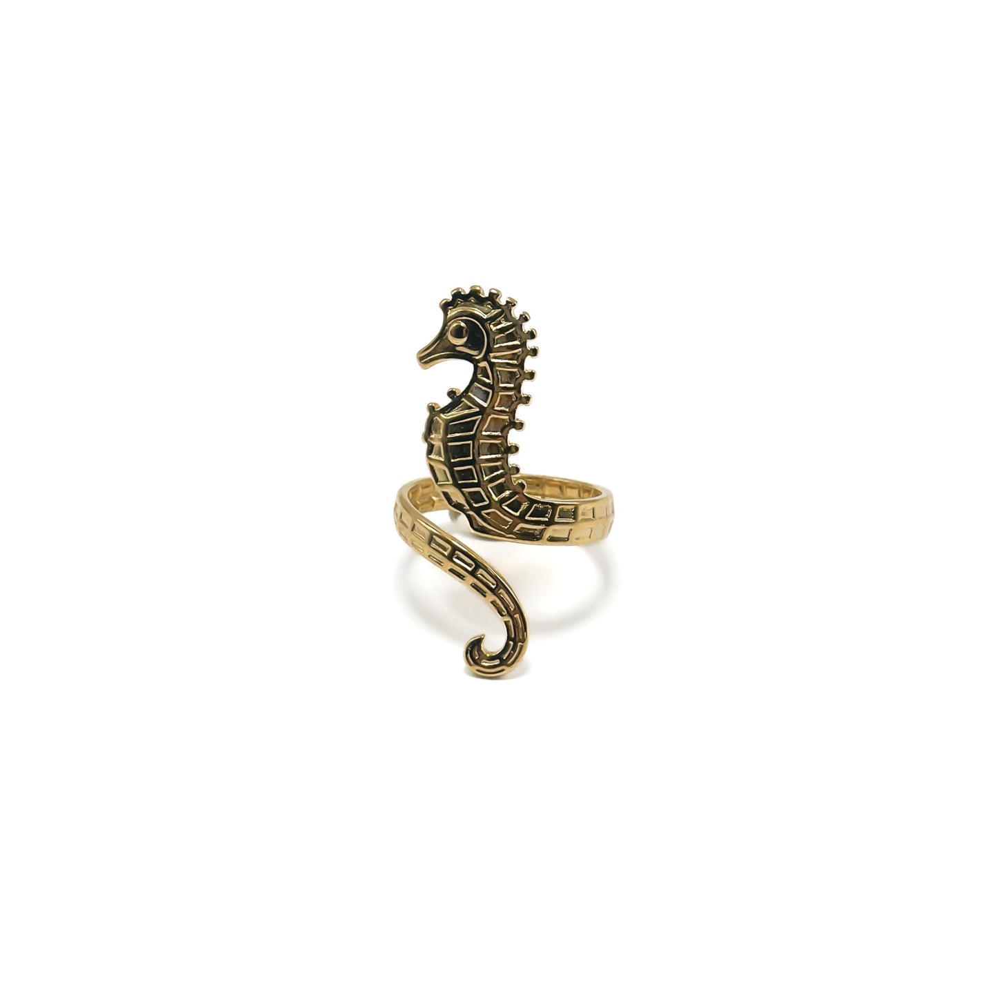 Hippocampe Ring