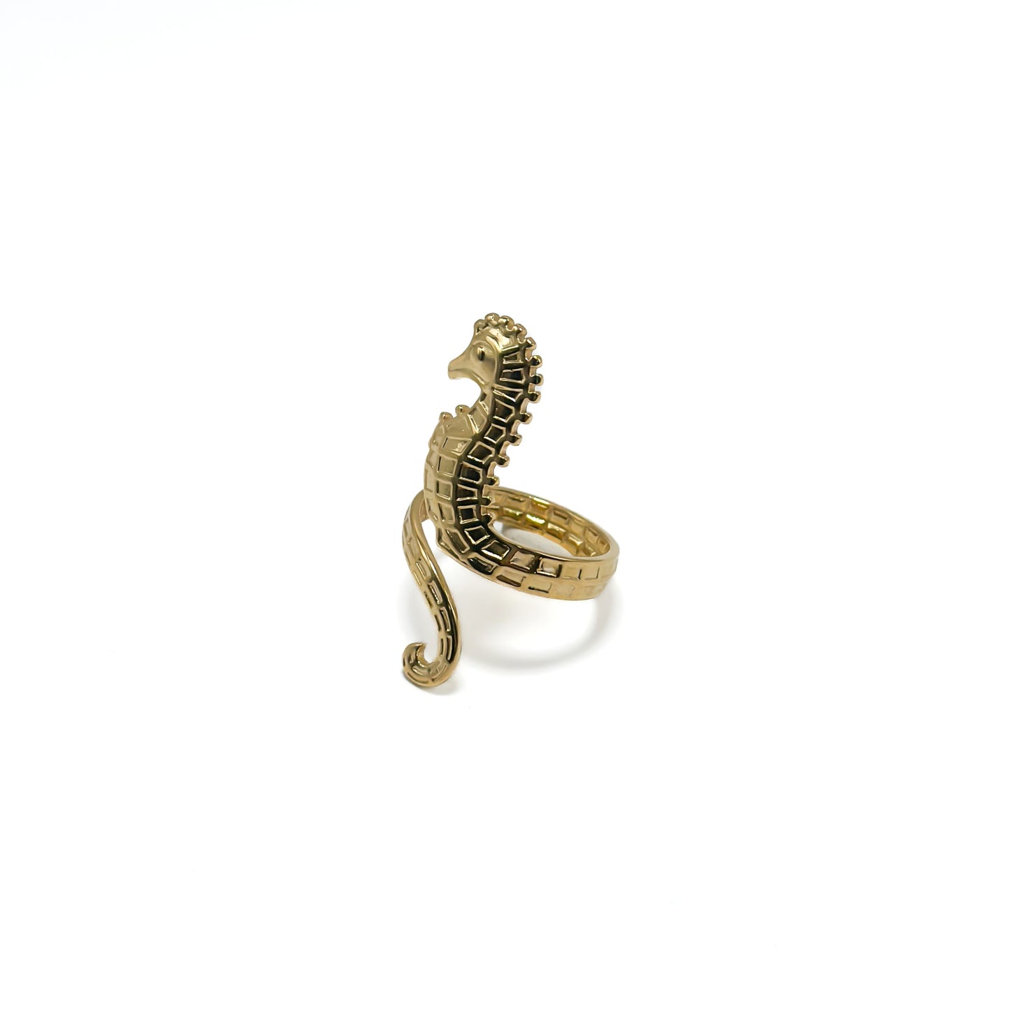 Hippocampe Ring