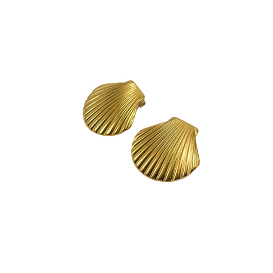 Shell Earrings