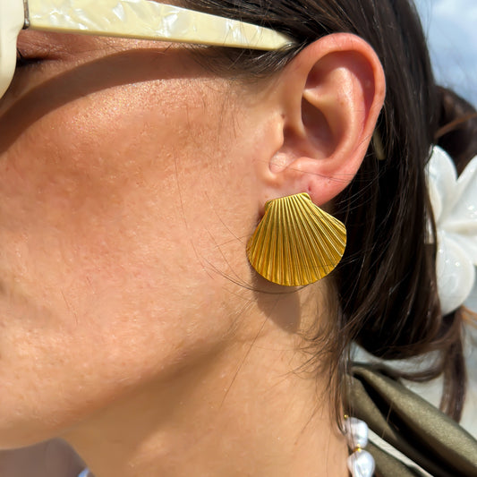Shell Earrings